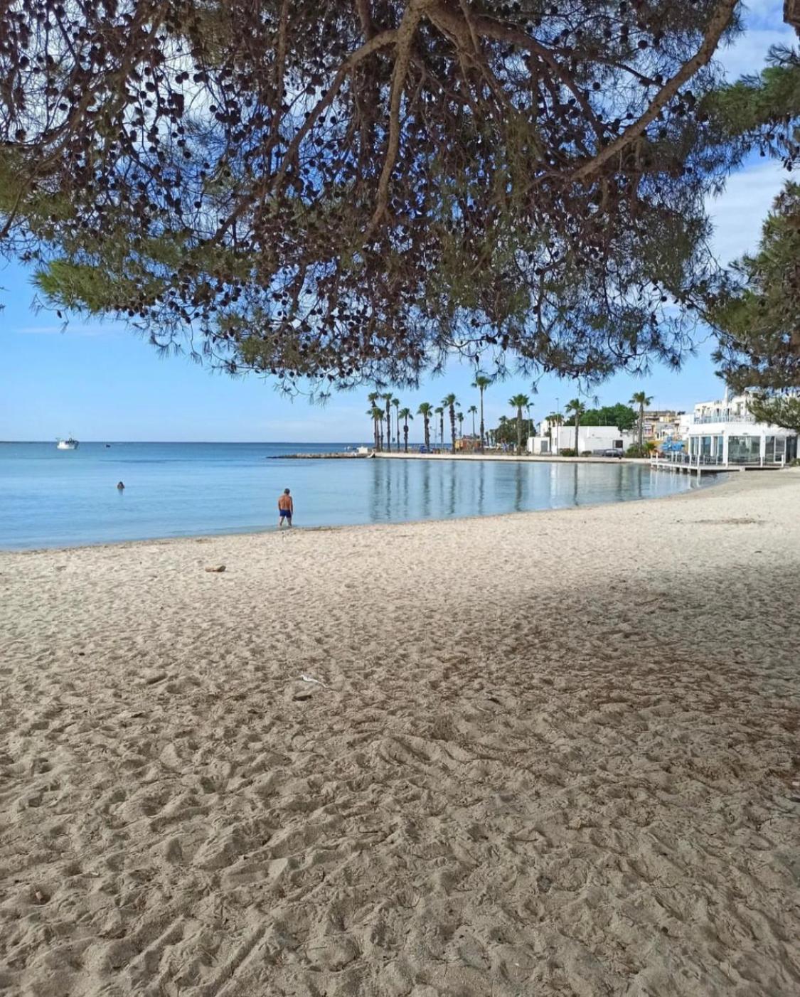 Viva Vista Mare Trilo Primo Piano Lejlighed Porto Cesareo Eksteriør billede